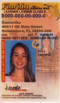 check if fl drivers license is suspended